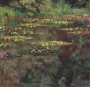 Water-Lilies